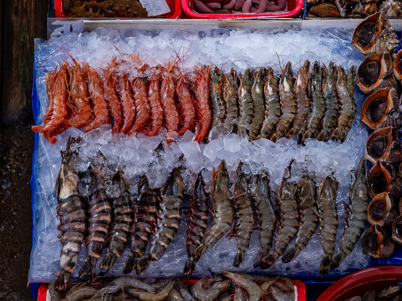 Frozen shrimp and seafood